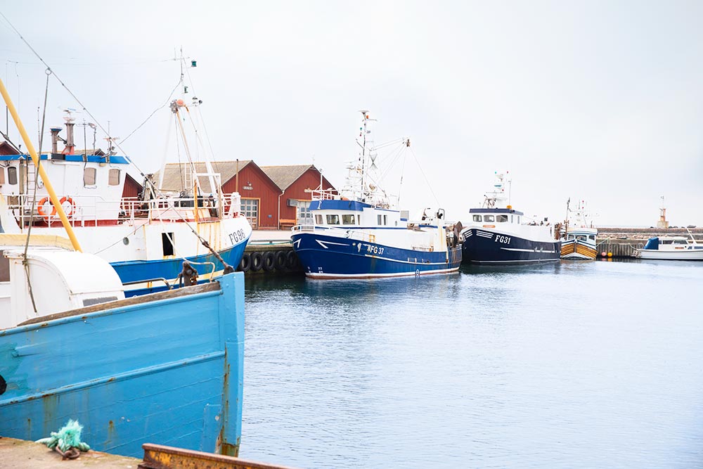 Fiskebåtar på rad i Glommens hamn.