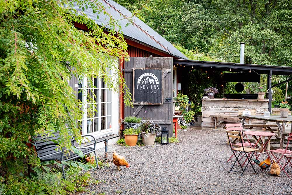 Höor går framför gårdshus med öppen dörr.