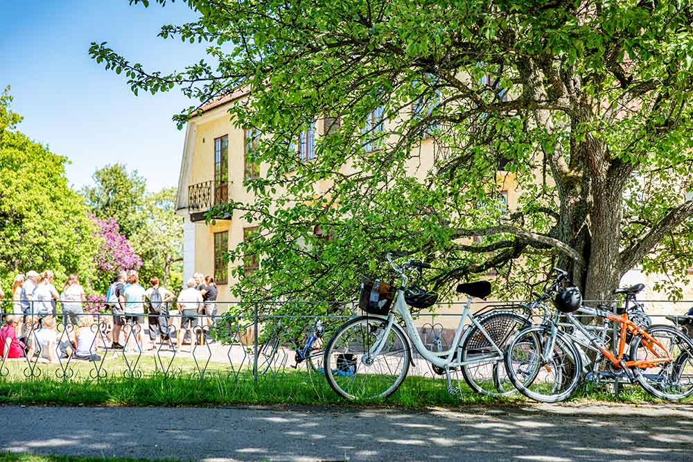 Cyklar som står vid ett träd i bakgrunden en grupp människor vid ett gult hus.
